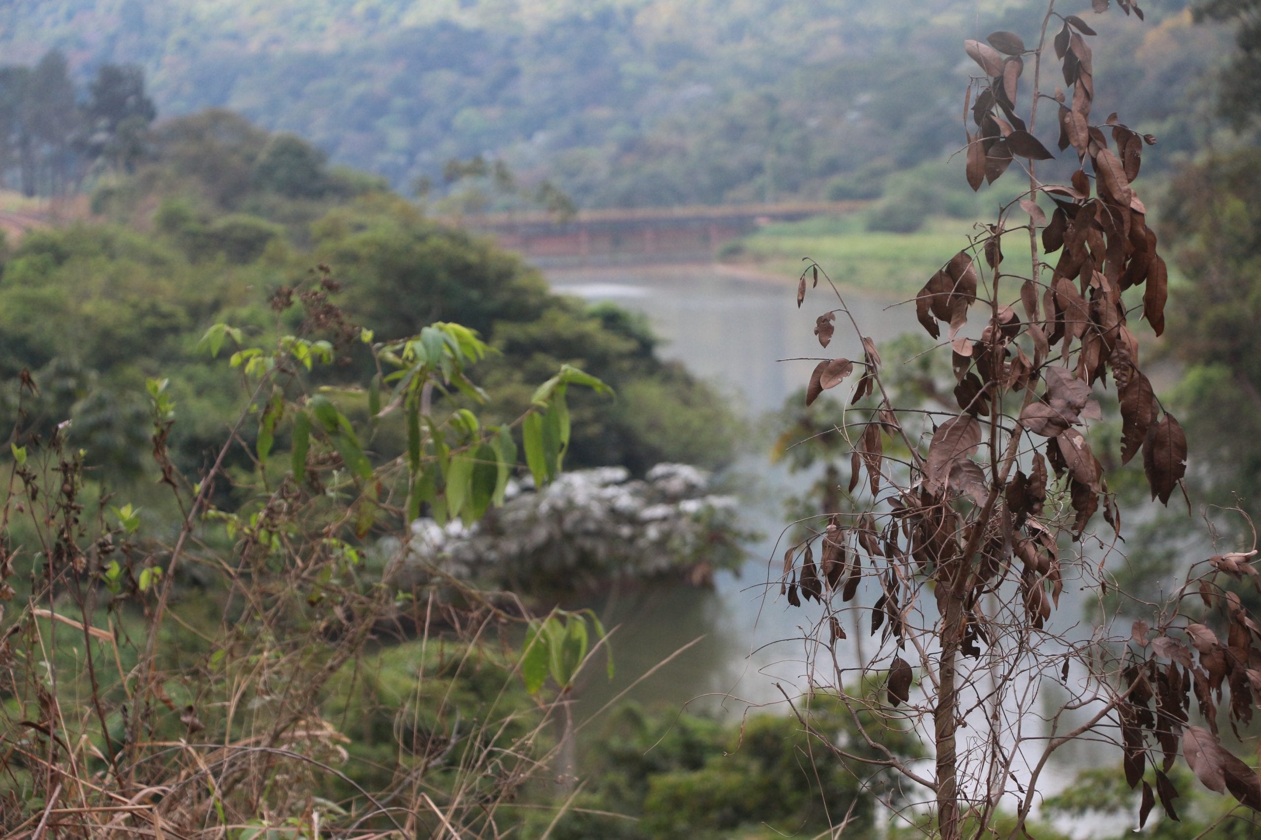 Prefeitura de Monlevade e parceiros instalam ecobarreira no rio Piracicaba