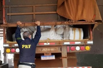 Polícia Rodoviária Federal apreende três toneladas de maconha