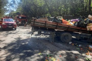 Fiat Uno bate de frente com caminhão e motorista morre na MG-155
