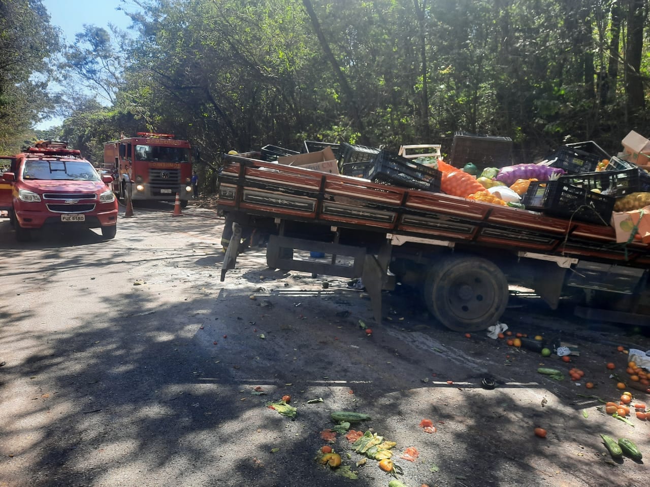 Fiat Uno bate de frente com caminhão e motorista morre na MG-155