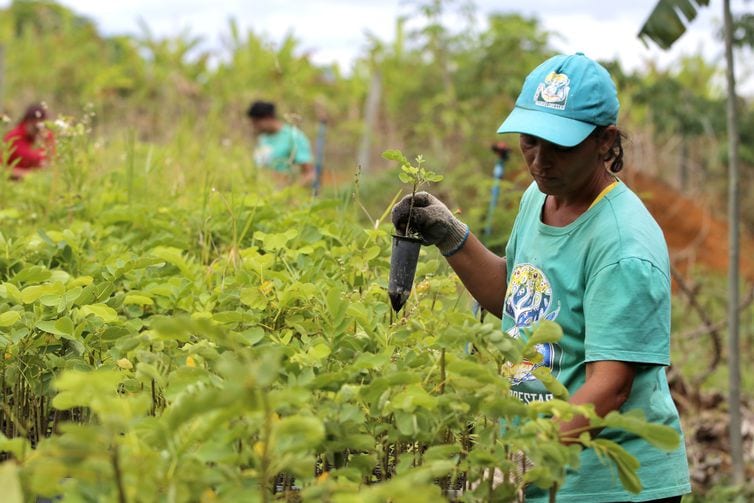 Nordeste teve maior índice de sindicalização em 2019