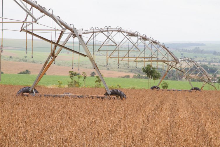 Balança comercial do agronegócio soma US$ 100,81 bilhões em 2020
