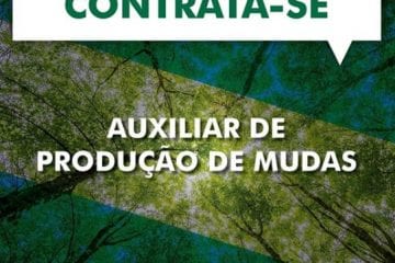 Instituto oferece 3 vagas para auxiliar de produção de mudas em Itabira