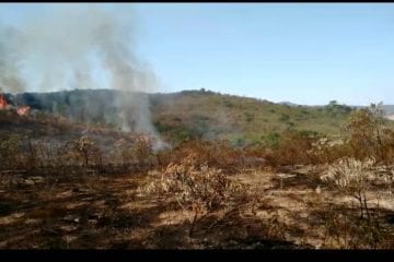 Focos de incêndio voltam a tomar conta de mata em Conceição do Mato Dentro