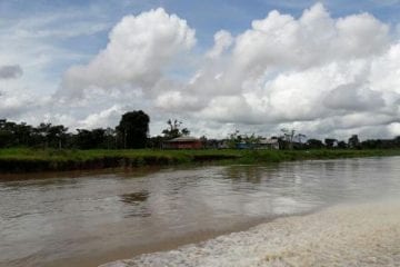 Agropecuária ocupa considerável extensão de terra no bioma Amazônia