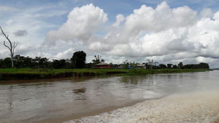 Agropecuária ocupa considerável extensão de terra no bioma Amazônia