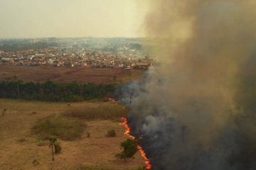MT pede Força Nacional contra fogo no Pantanal