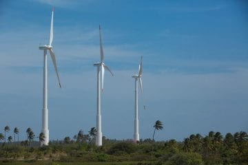 Estudo aponta que retomada econômica passa pela questão ambiental