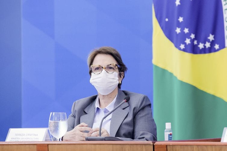 Tereza Cristina: acordo Mercosul-UE não ameaça preservação ambiental