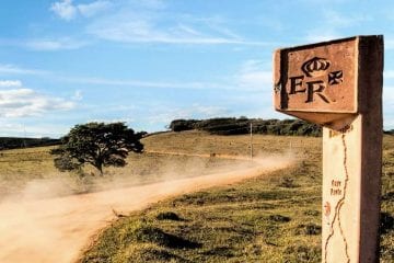 A sinergia das ações será a “chave do sucesso”!