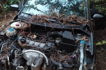 Carro roubado é encontrado desmanchado em plantação de pinho