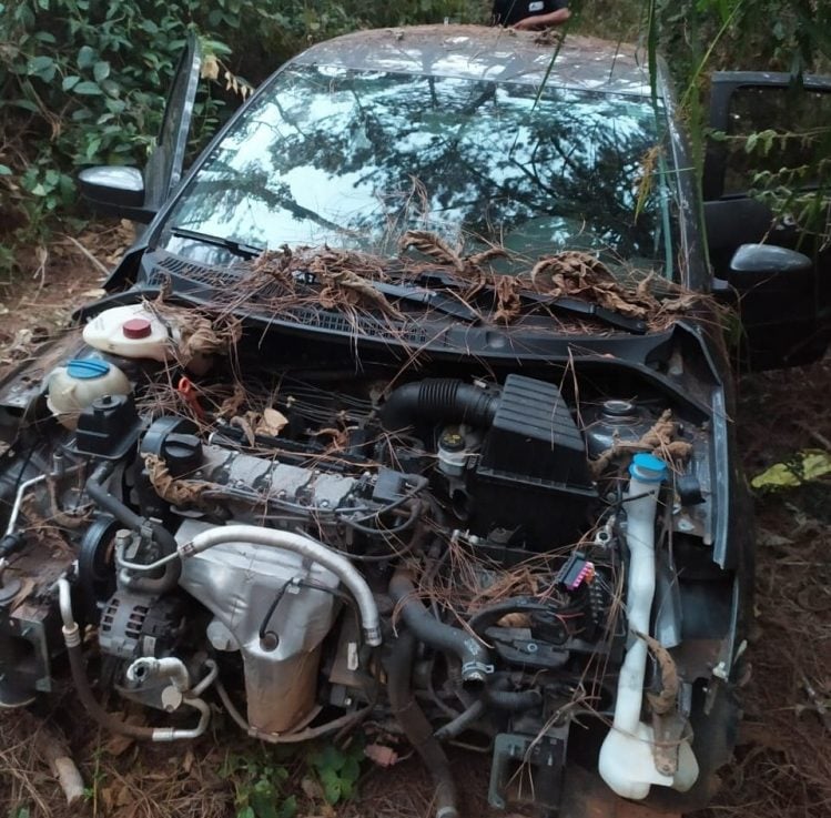 Carro roubado é encontrado desmanchado em plantação de pinho