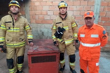 Onça parda é capturada pelos bombeiros no quintal de residência