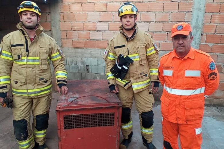 Onça parda é capturada pelos bombeiros no quintal de residência