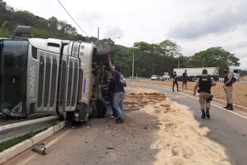 Carreta com mamão tomba no trevo do Itabiruçu em Itabira