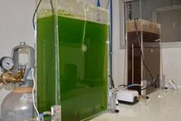 Governo altera selo que permite reduzir contribuições para biodiesel