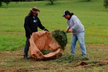 Campanha em São Paulo quer melhorar gestão de resíduos orgânicos