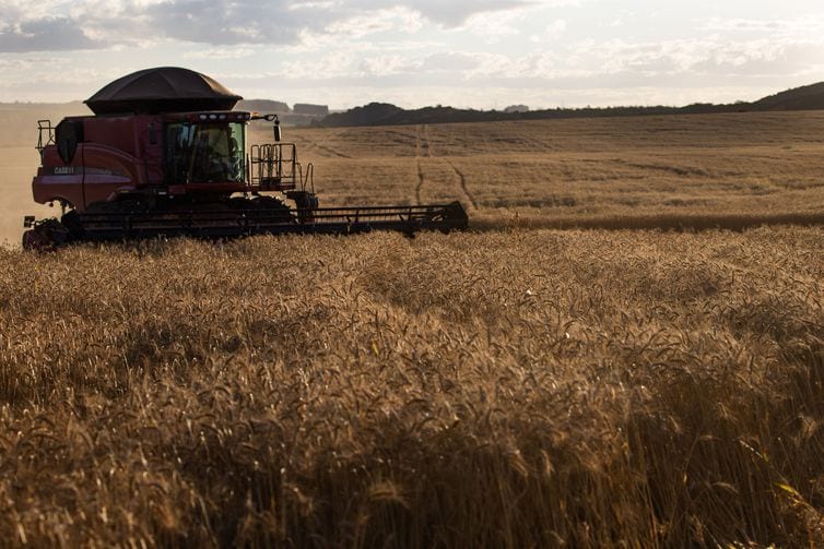 Crédito rural sobe 18% em relação ao último semestre de 2019