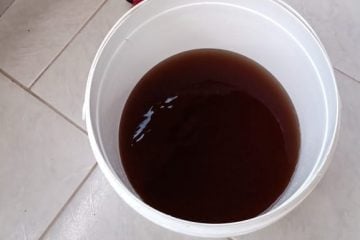 Moradores do Gabiroba reclamam de água suja há mais de uma semana