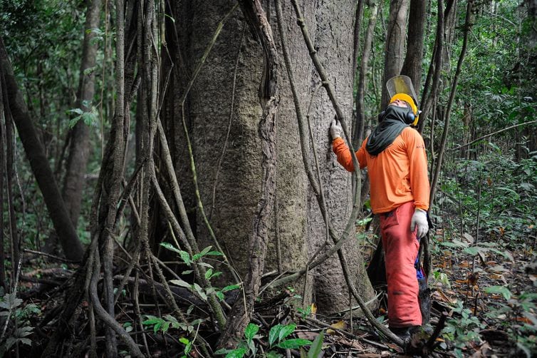 Guia de financiamento ajuda empresas interessadas em sustentabilidade