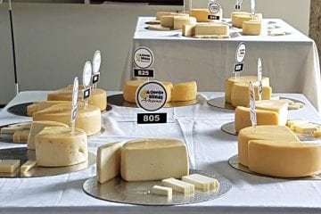 Concurso escolhe o melhor Queijo Minas Artesanal de 2020