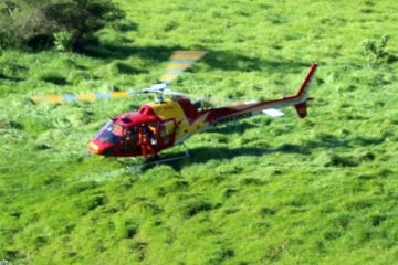 Homem morre após ser atingido por eucalipto em Nova Era