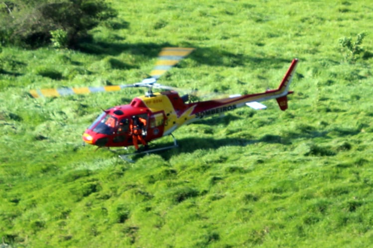 Homem morre após ser atingido por eucalipto em Nova Era