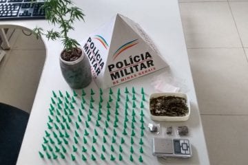 PM apreende pé de maconha e mais de 100 pinos de cocaína no Gabiroba