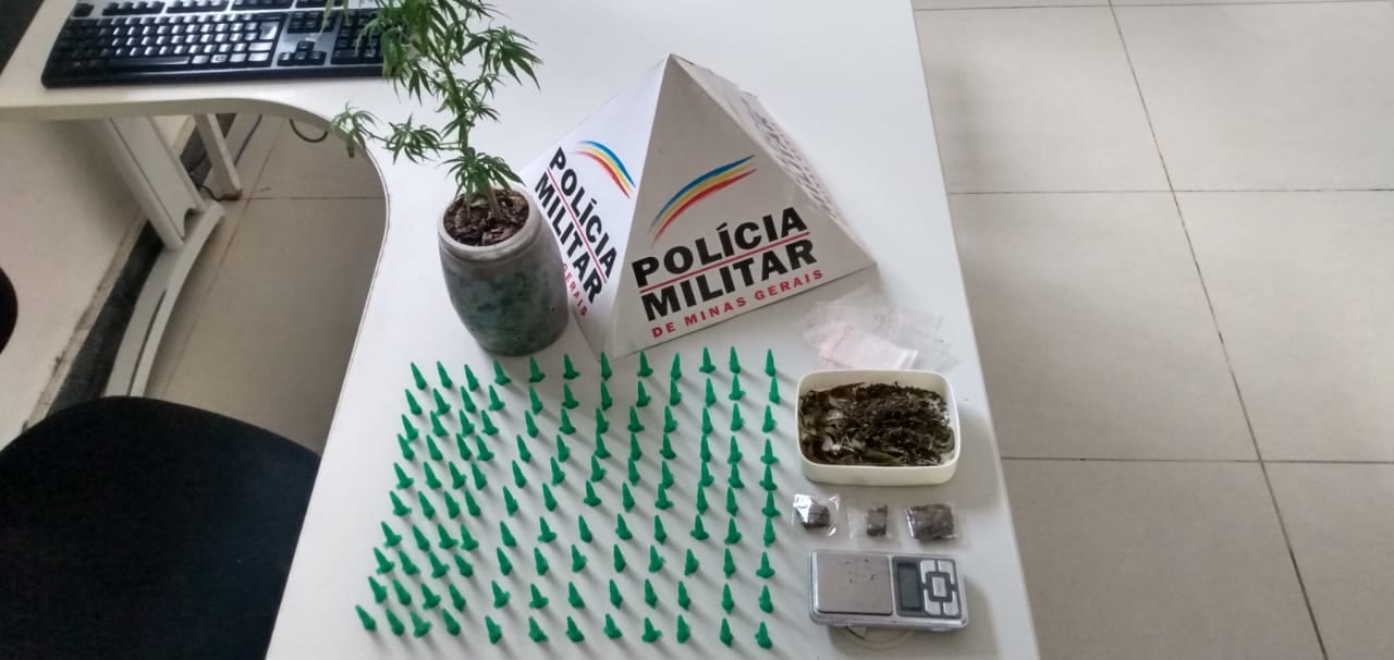 PM apreende pé de maconha e mais de 100 pinos de cocaína no Gabiroba