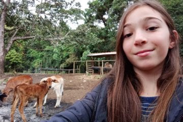 IMA desenvolve programa on-line de educação sanitária