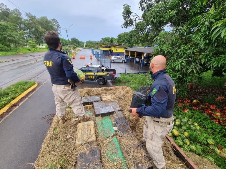 PRF apreende 4 toneladas de maconha em caminhão de melancia; confira vídeo