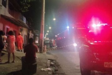 Animais morrem em incêndio que atingiu casa de rações em Contagem
