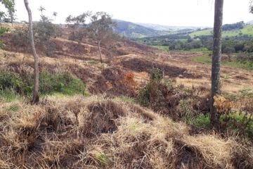 Homem é autuado em quase R$ 19 mil por causar incêndio na região da Serra do Cipó