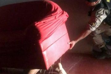 Homem que matou mulher com um tiro na cabeça em Dom Silvério é preso debaixo do sofá