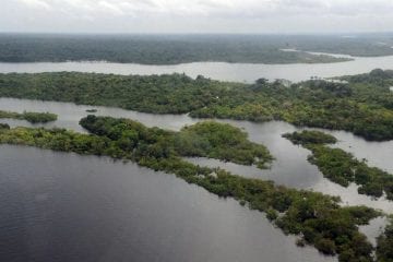 Bancos de desenvolvimento podem acelerar a recuperação econômica verde