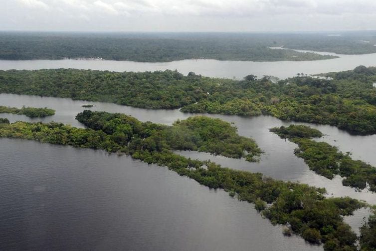 Bancos de desenvolvimento podem acelerar a recuperação econômica verde