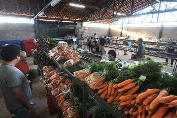 IGP-10 desacelera e tem alta de 1,97% em dezembro, diz FGV