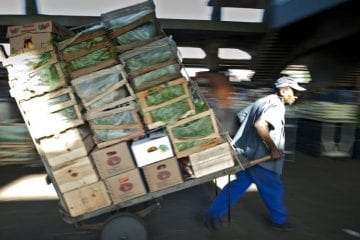Ceagesp entregou mais de 733 toneladas de alimentos durante a pandemia