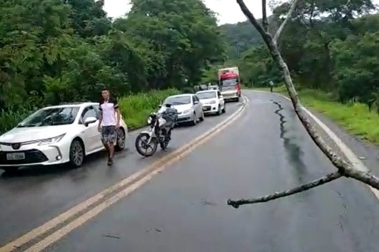 Motociclista é atingido por queda de árvore na MGC-120 em Ferros