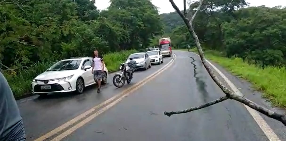 Motociclista é atingido por queda de árvore na MGC-120 em Ferros