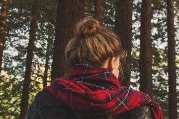 Esqueça o Google: site de buscas planta árvores enquanto você pesquisa na internet