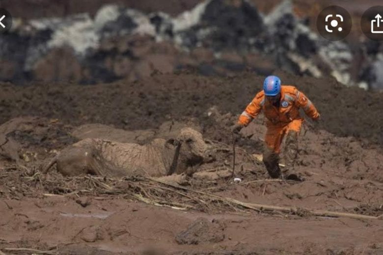 Governo lança editais para vagas de trabalho na reparação de Brumadinho