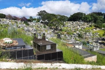 Túmulos são tomados por matagal no Cemitério da Paz