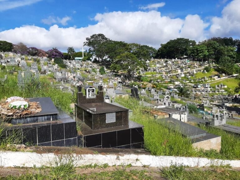 Túmulos são tomados por matagal no Cemitério da Paz