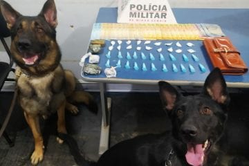 Cães da PM levam a melhor sobre cães de criminosos e militares apreendem várias drogas