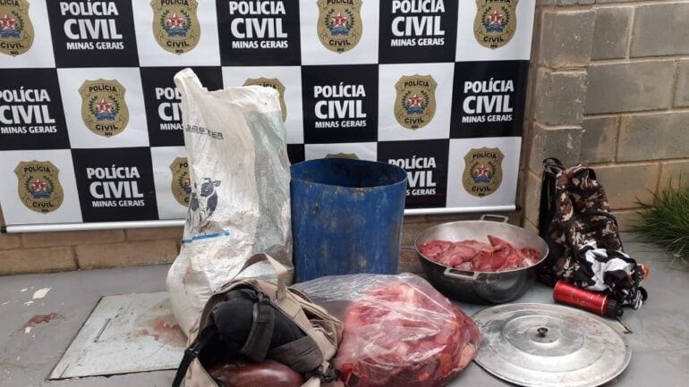 Em Itabira, homens roubam bovinos e são flagrados dividindo a carne do animal