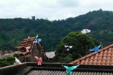 Pintor de pombos é procurado pela polícia no interior de Minas