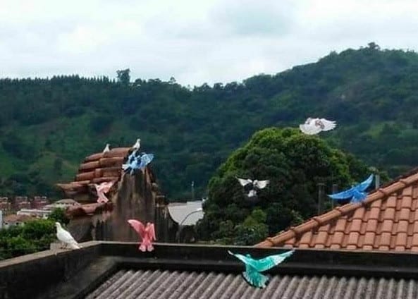 Pintor de pombos é procurado pela polícia no interior de Minas