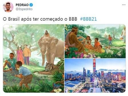 bbb 21