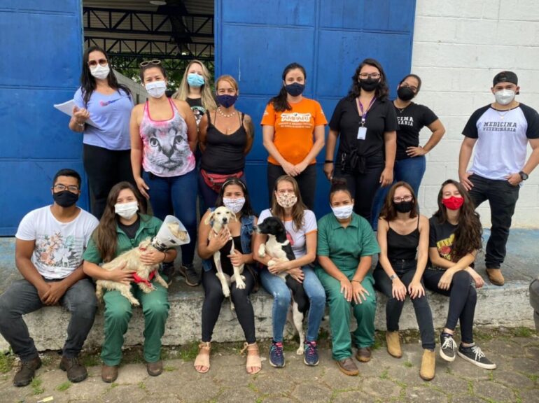 GRAD, Ampari e estudantes da Una resgatam e castram animais em Santa Maria